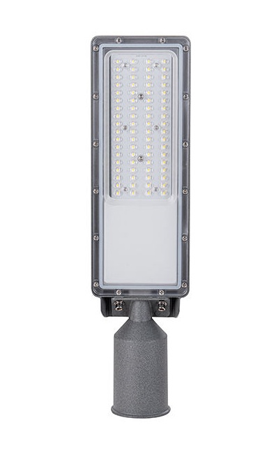 Street Light 60/100W Brillamax